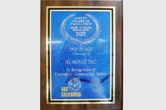 Acg Safety Award