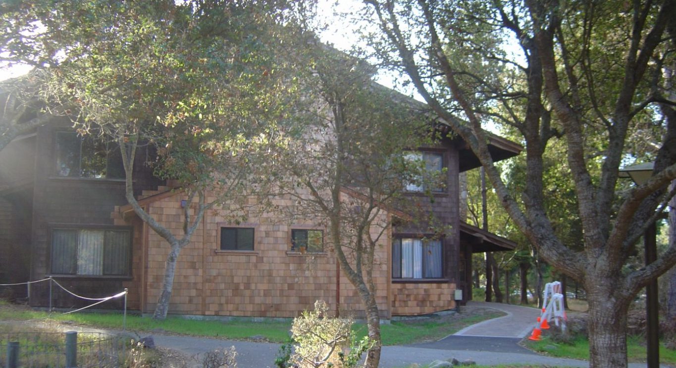 Asilomar Tree Tops 1